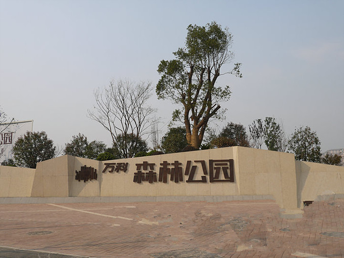 電表用於合肥萬科森（sēn）林公園
